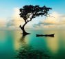 A lone boat floating on the water near a tree.